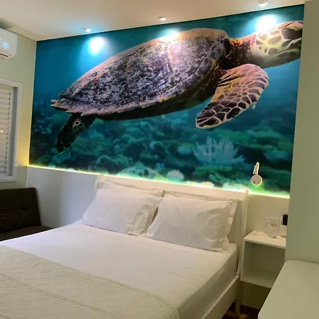 Suite Turtle-3